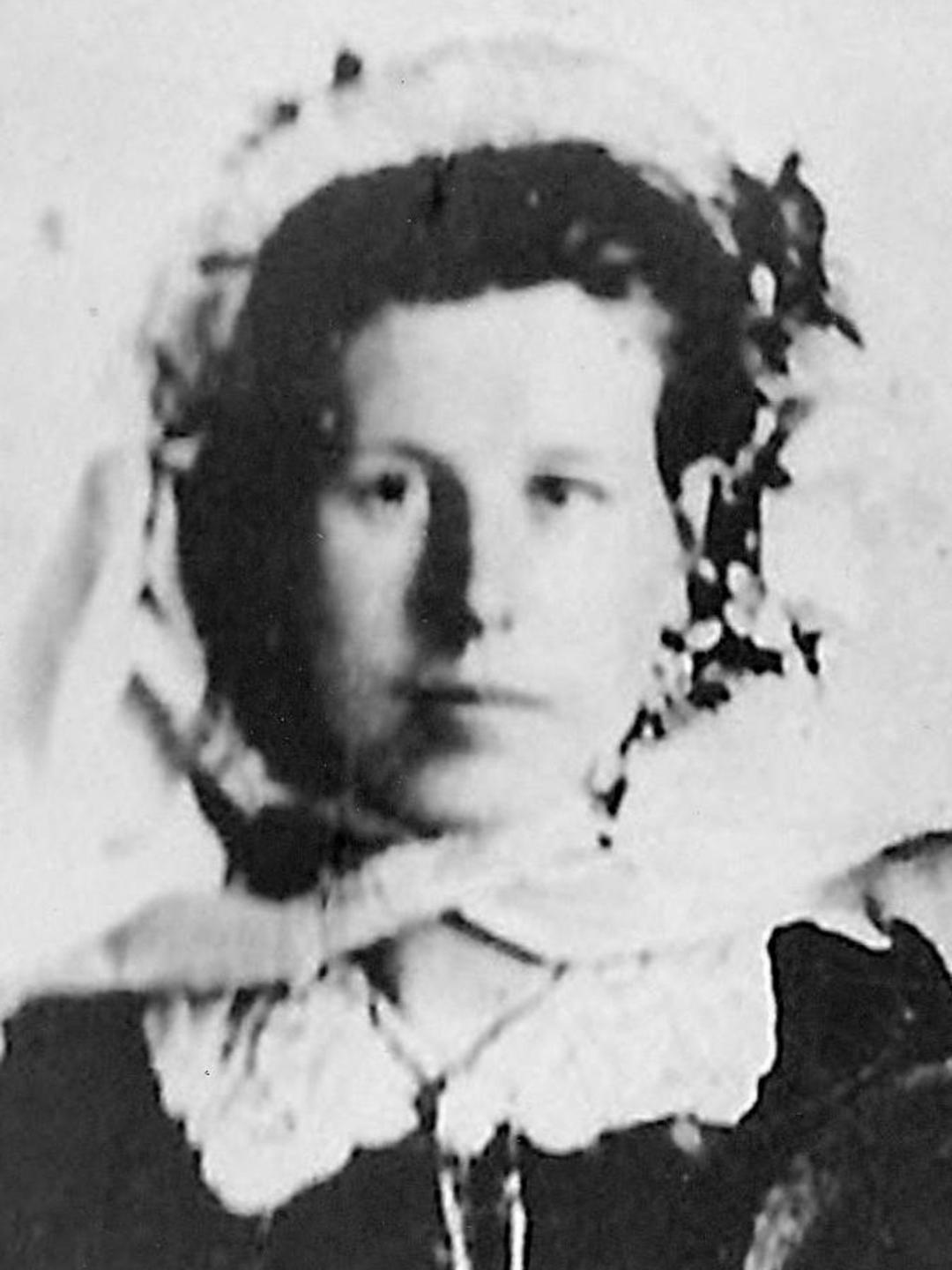 Amelia Evans (1838 - 1886) Profile